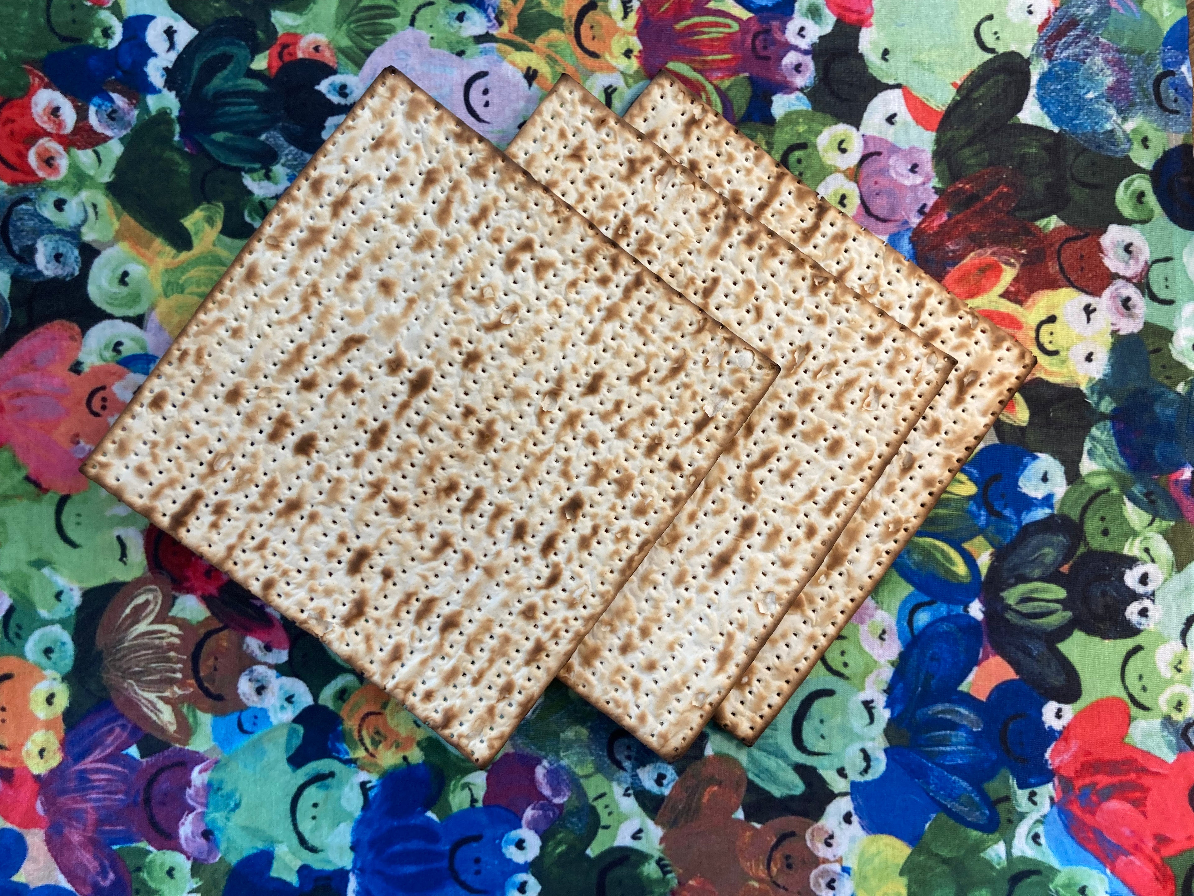 Rainbow Frogs Matzah Cover