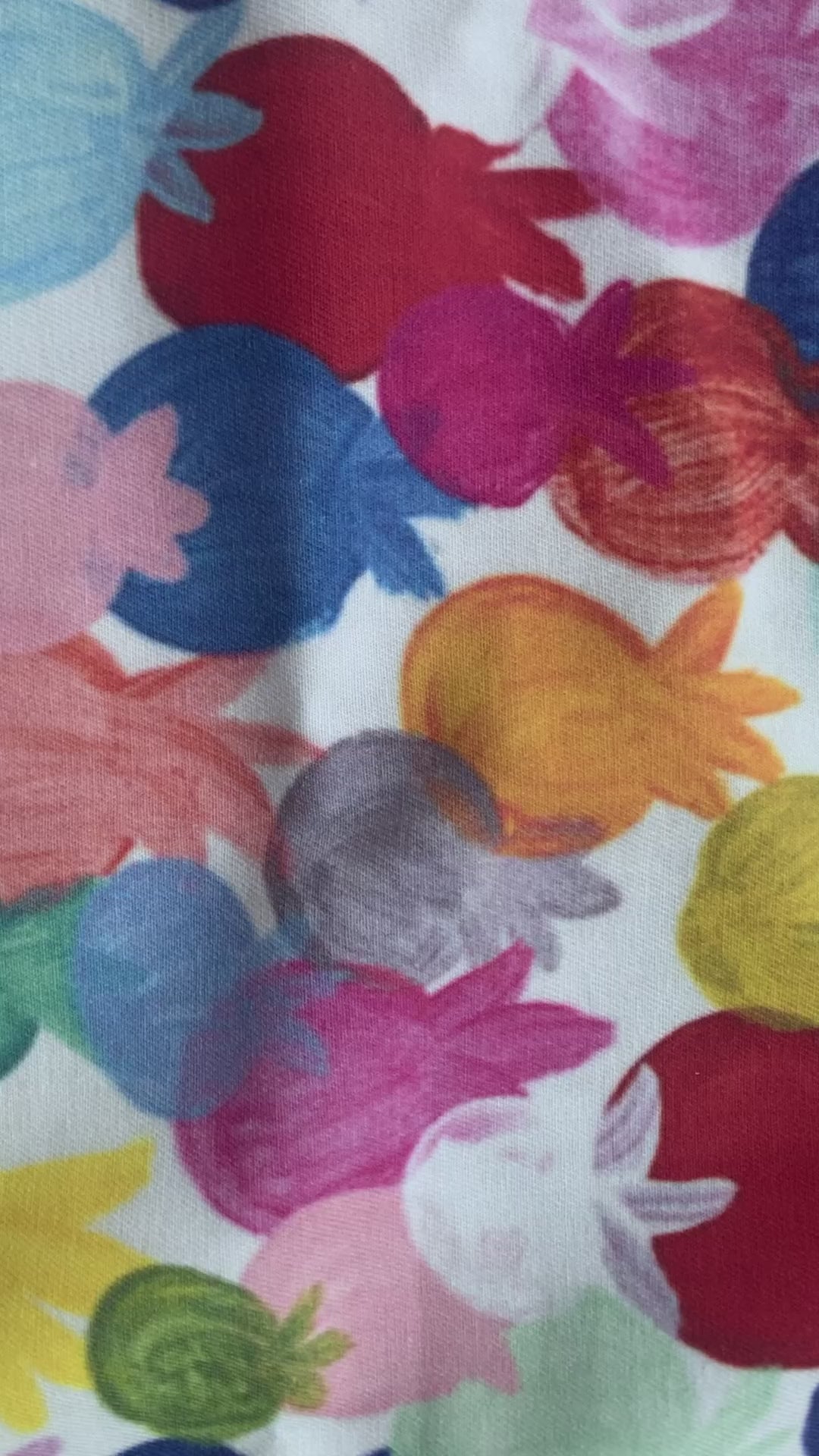 Rainbow Pomegranates | Cloth Napkins